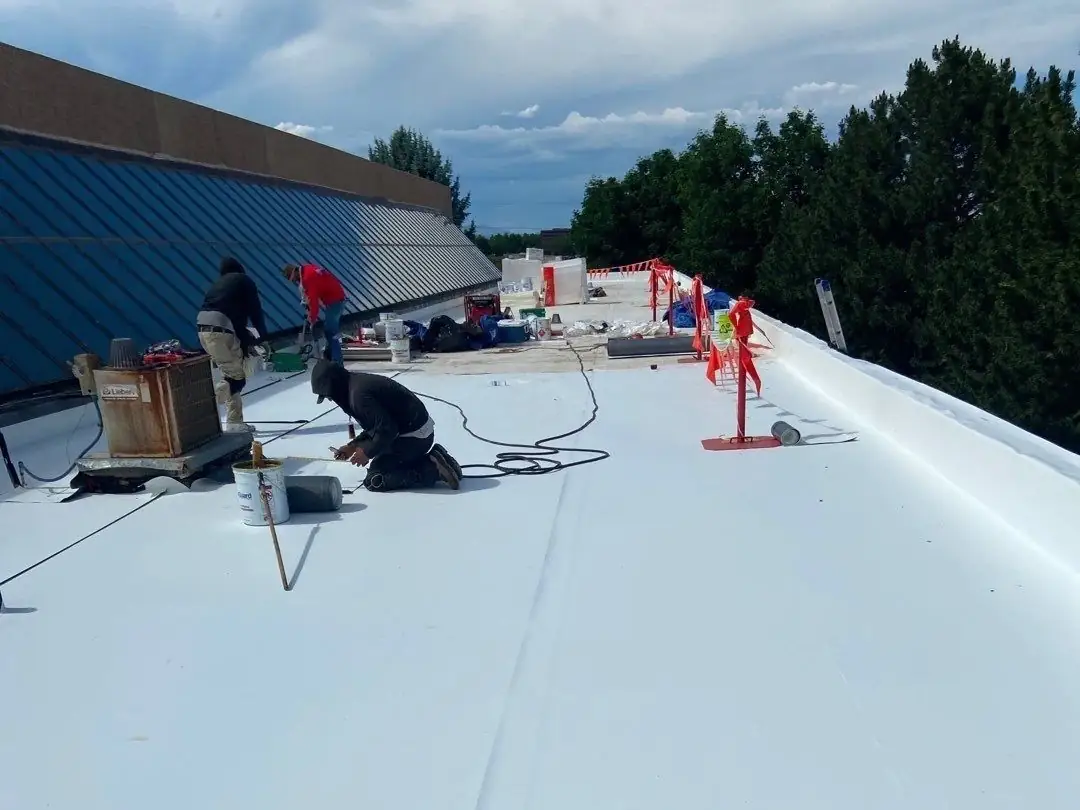 TPO and Single-Ply Roofs
